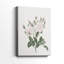 Imprimé floral rétro CXLVII - galerie enveloppée Cavas-108826114
