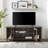 Eberardo 58" 2-Door TV Stand for TVs up to 65"-2075330214