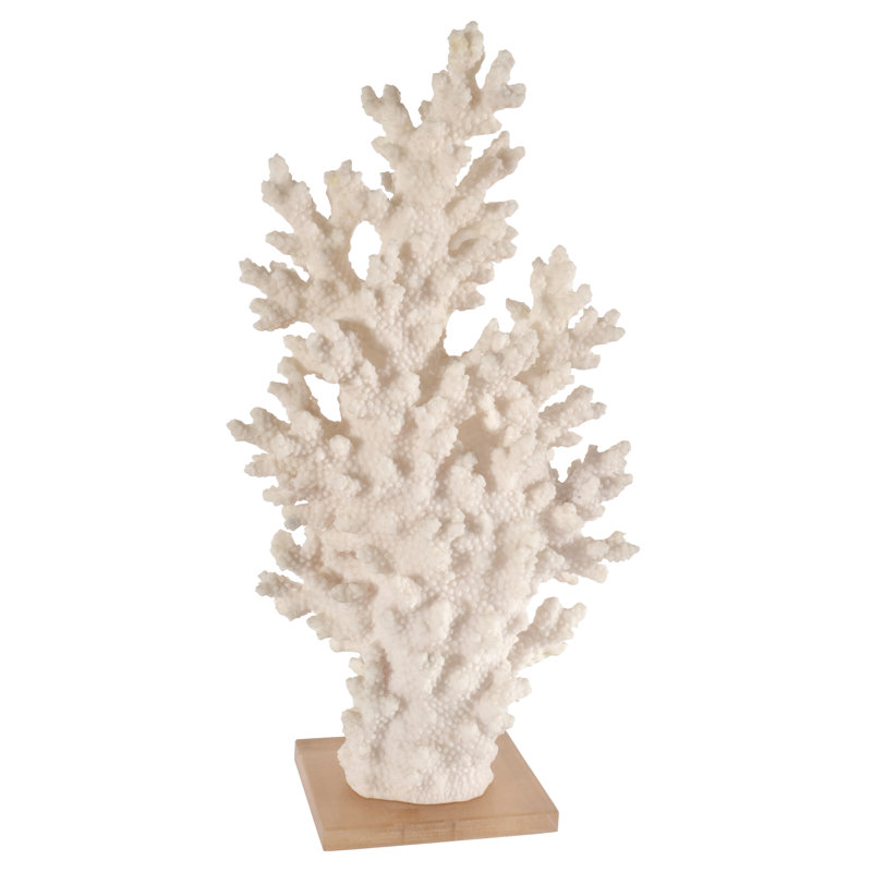 Corail Wadlington