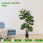 Arrangement