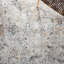 Tapis ivoire / gris clair Dream 727-576043937