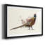 Pheasant Splash 2, reproduction d'art encadrée-829410978-829410988