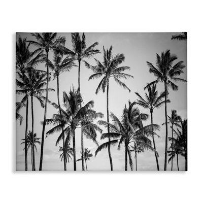 'Palm Trees Skyline Black and White' by Design Fabrikken Photograph Print