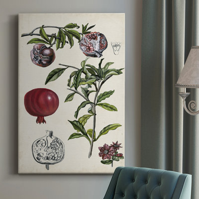Pomegranate Composition I - Wrapped Canvas Painting