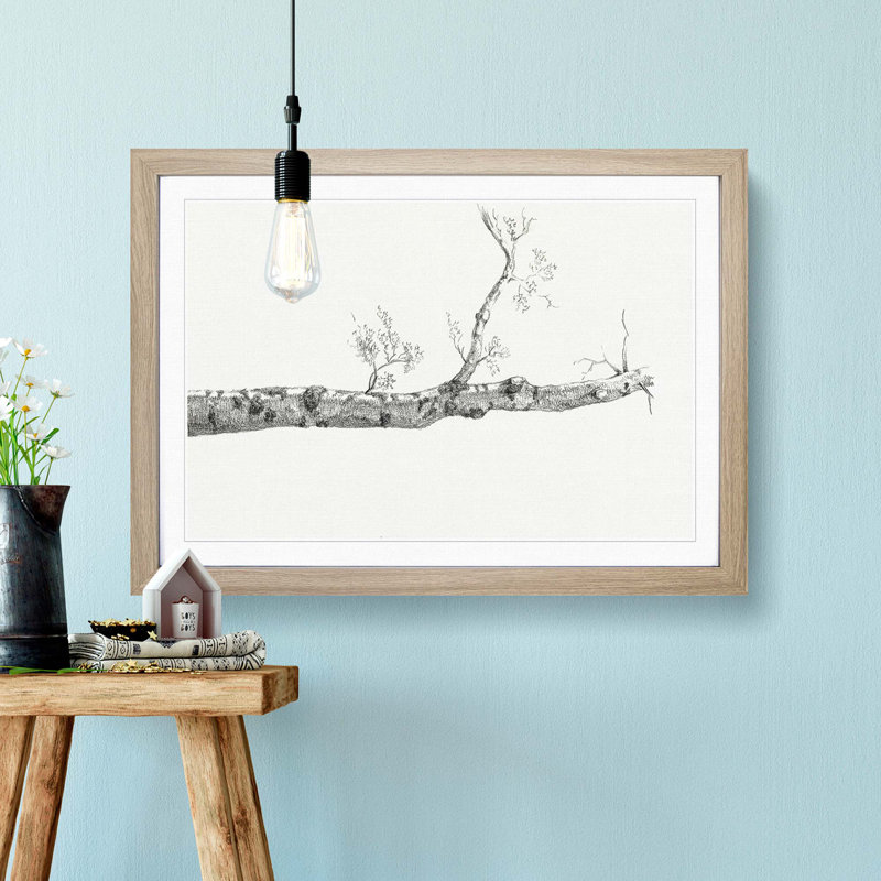Study of a Tree by Jean Bernard - Picture Frame Drawing Print, Oak Framed, 48cm H x 65cm W x 2cm D