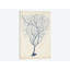 « indigo corail iii », reproduction d’impression sur toile tendue-29052363-72800011-72800017