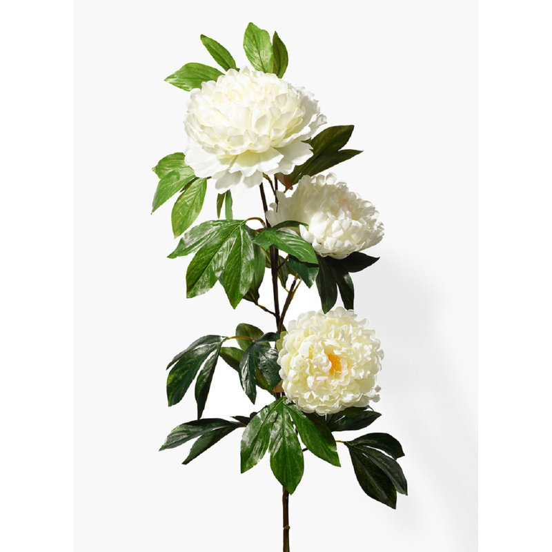 Jet de pêche pivoines