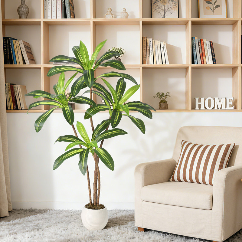 Plant, 150 cm x 22 cm