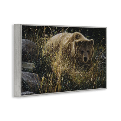 Crossing Paths Grizzly Bear Framed Giclee, design by Collin Bogle