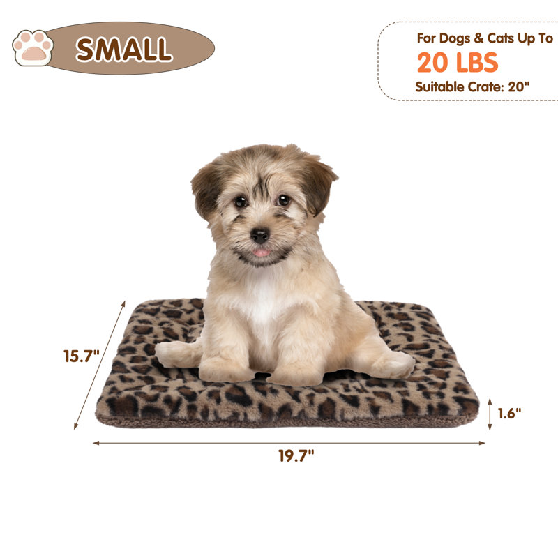 Tapis de caisse pour animal en peluche, Petit (l 19,7 po x P 15,7 po x H 1,57 po)