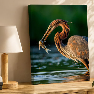 Canvas A Close Up Of A Bird With A Long Neck Wall Art Poised In A Shallow Body Of Water Capturing A Fish Creating Thoughtful Canvas Wall Art