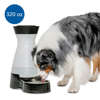 Healthy Pet Water Station