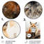 Décoration murale en métal Fox Wilderness Observer-900504822