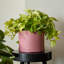 Pot à fleurs rond intérieur / extérieur en plastique moderne avec soucoupe-1933896411-1927843351