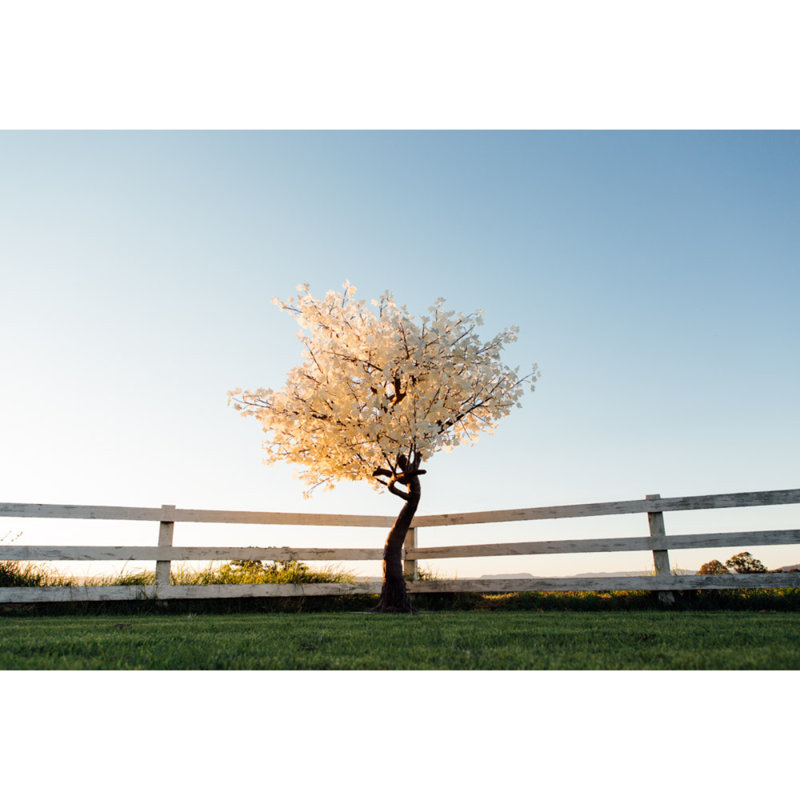 Arbre lumineux 10 'et branches, Blanc
