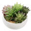 Artificial Plant