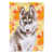 Husky sibérien gris sélectionné