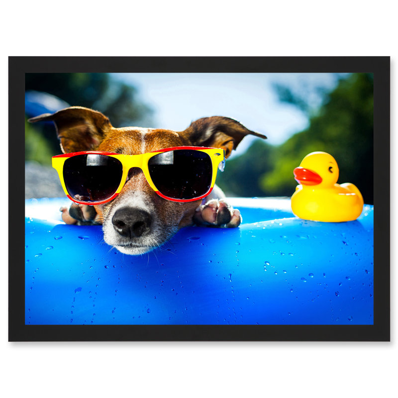 Jack Russell Dog Sunglasses Rubber Duck - Single Picture Frame Art Prints