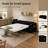 Queen Size Pull Out Sofa Bed-1566651268