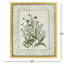Herbs and Spice Framed Art
