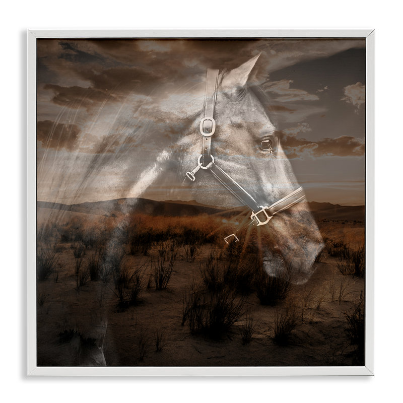 Reproduction d'art giclée encadrée par Horse Design par CAD Designs, Giclée encadrée blanc bord de mer, H 24 po x l 24 po