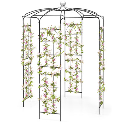 Birdcage Shape Garden Arch 9.4 x 6.8FT Heavy Duty Arch Trellis with Hanging Hook for Climbing Plants -  Topbuy, TOPB007841