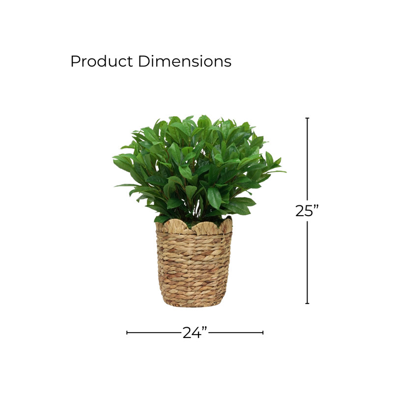 Panier 25 po Laurel Bush