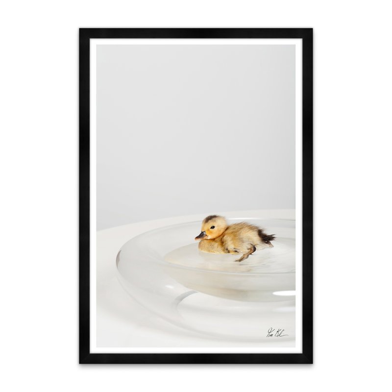 Étang de canard, Noir, H 42 po x l 29 po x P 1,5 po, Lustre photo encadré