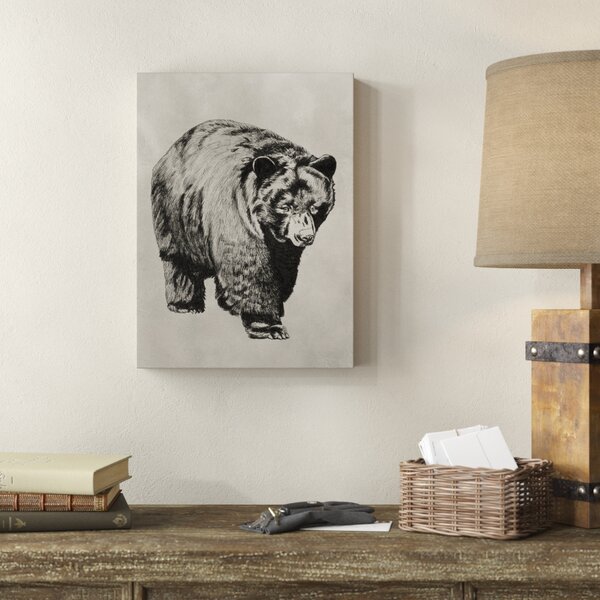Millwood Pines Pen And Ink Bear I On Canvas by Naomi McCavitt Print ...