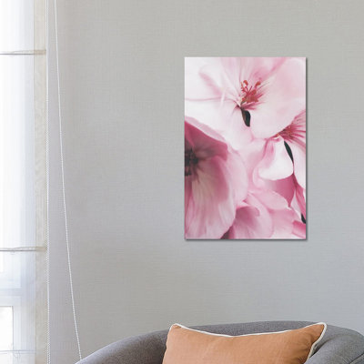 Pink Flowers Photo by Mambo Art Studio - Wrapped Canvas Print