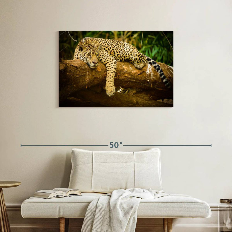 Brampt Pantanal Jaguar, H 24 po x l 36 po