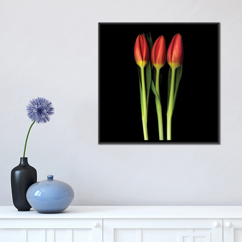 Tulipe trinité, reproduction de photo sur toile tendue, H 18 po x l 18 po x P 1,5 po, Toile avec cadre noir, Pas de tapis