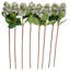 Tige de fleur artificielle Cole et Grey-1192675292-1192675288