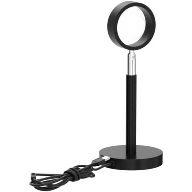 Julisa Metal Novelty Lamp