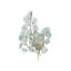 Baobab 3 - Light Candle Wall Light