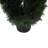 Boxwood Double Spiral Everyday Topiary-20583876