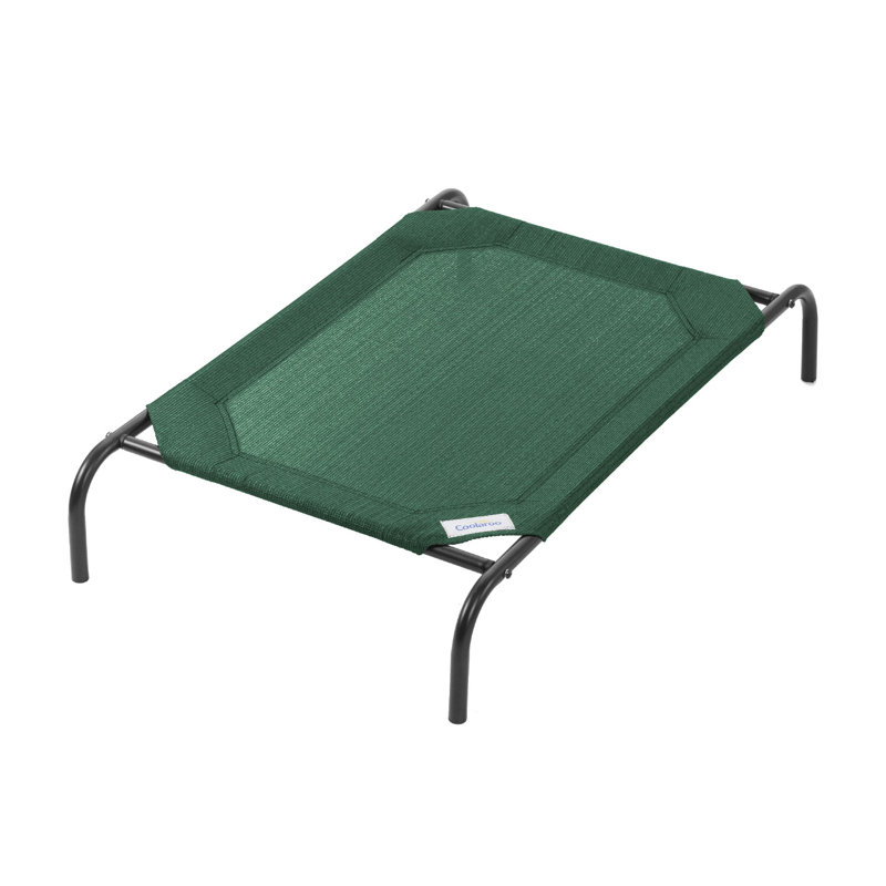 Mckittrick Brunswickchrome Green and Crystal 1-Light 5.5 in. Indoor/Outdoor Mid-Size Raised Camp Bed, Vert Brunswick