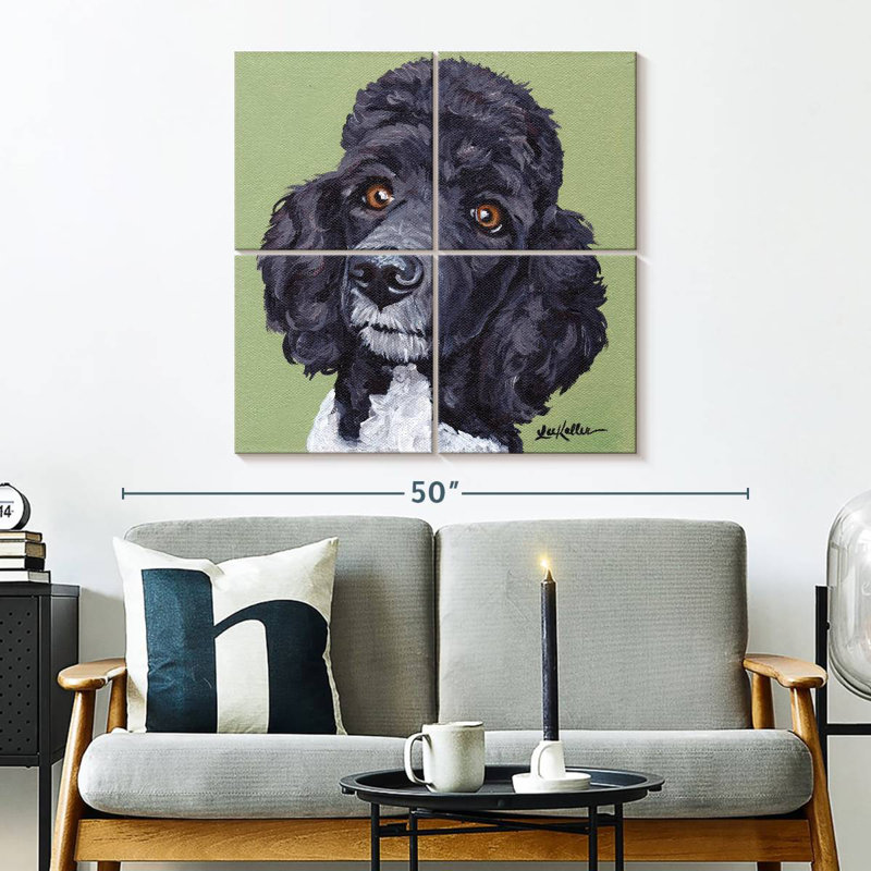 Brampt Standard Poodle Tommy
