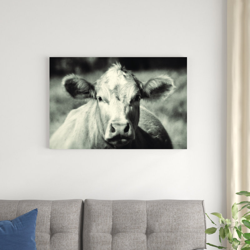 «Pasture Cow» par Debra Van Swearingen - photographie sur toile tendue, H 24 po x l 36 po x P 1,25 po