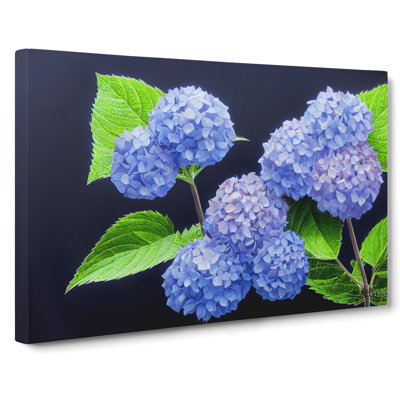 Awe Inspiring Hydrangea Flowers - Wrapped Canvas