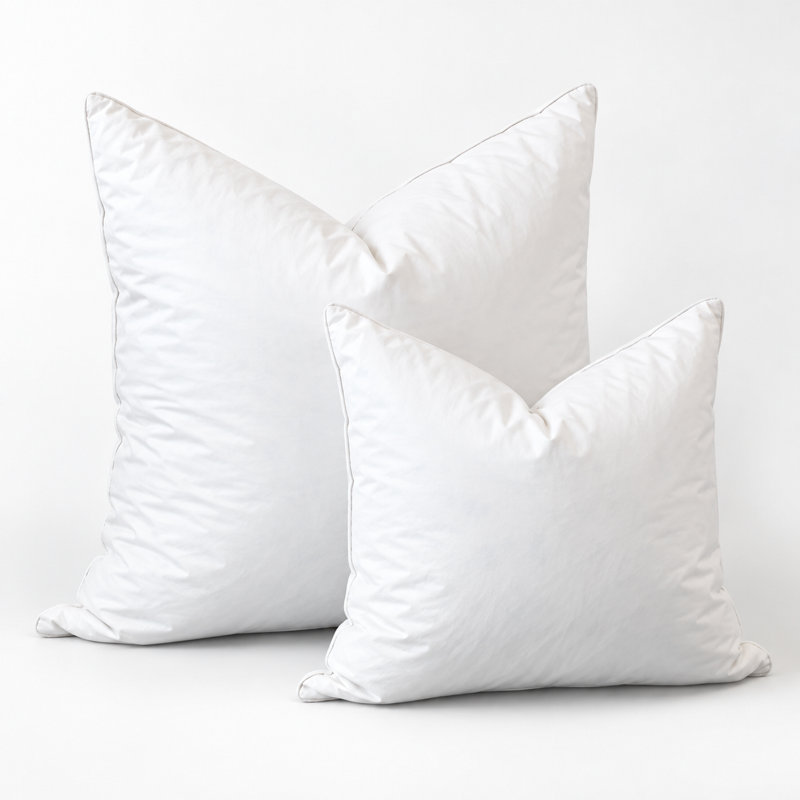 Coussin décoratif en duvet d'oie et en duvet, 95% plumes et 5% en duvet, coussin décoratif moelleux, H 20 po x l 12 po