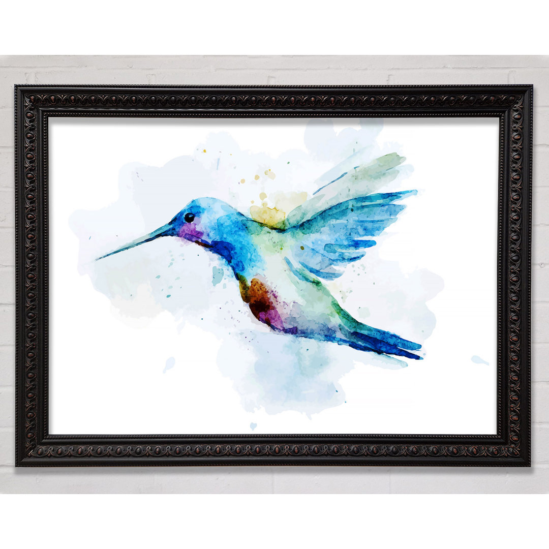 Hummingbird Splash - Einzelner Bilderrahmen Kunstdrucke