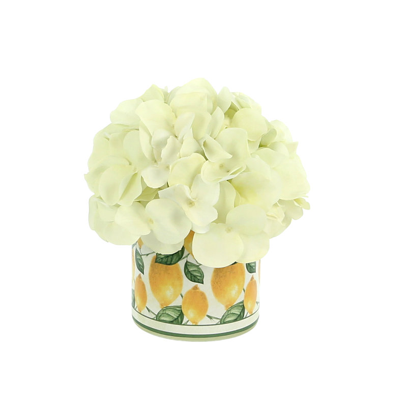 Hydrangea In A Ceramic Label Pot, White/Yellow