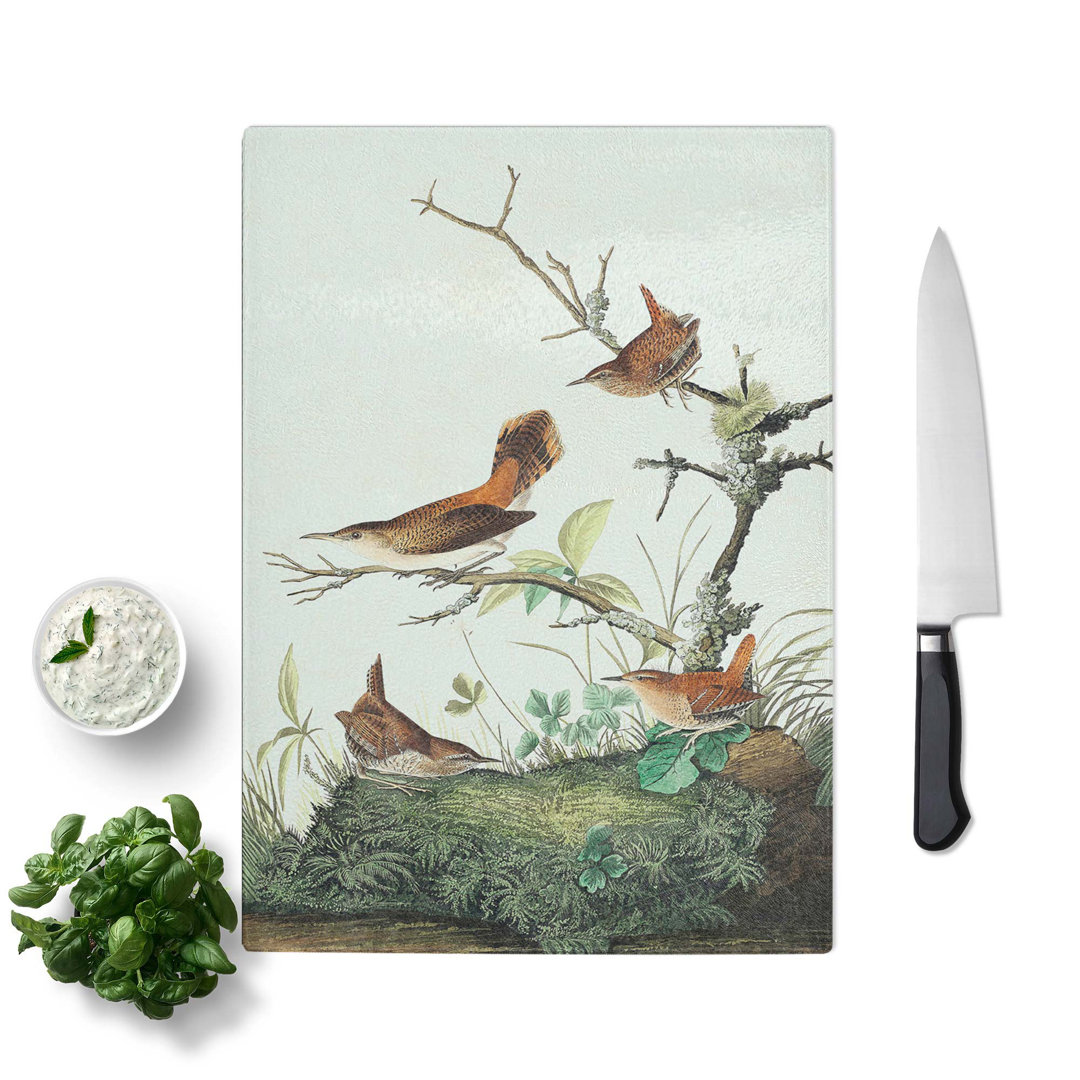 Tempered Glass Wrens by John James Audubon Chopping Board