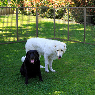 Parc pour chien FXW Aster conçu pour la cour
