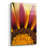 Epic Art 'Five' By SD Smart, Acrylic Glass Wall Ar " Five " by SD Smart