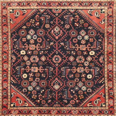Oriental Indoor Rug
