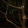Heili 400 - Bulb 0.1'' Solar Powered LED Fairy String Light