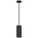 Courter 1 - Light Single Pendant