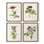 «Antique Floral Bouquet I», 4 pièces sur papier-1856871027-1856871030